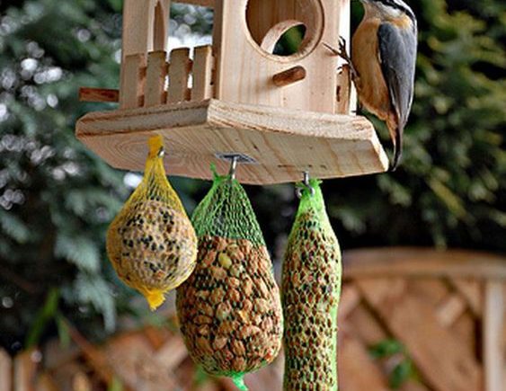 25+ DIY Decorative Bird House