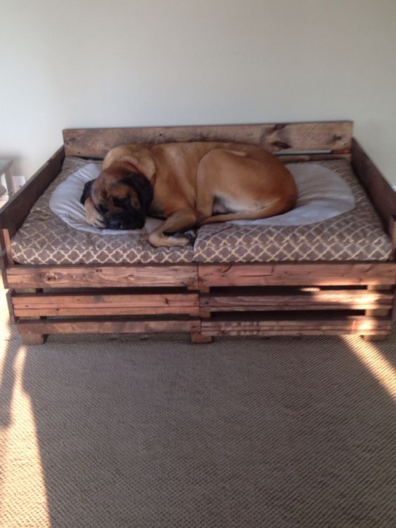 33+ DIY Dog House Ideas Your Best Friend Will Absolutely Love